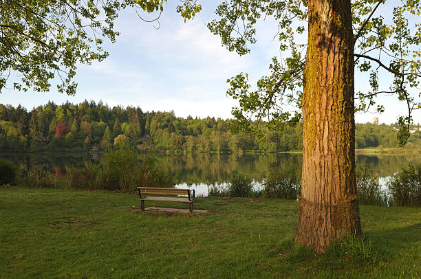 istock Spring Morning at deer lake park 146002451