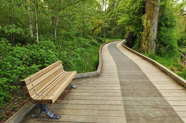 boardwalk and bench in the forest, deer lake park stock photo