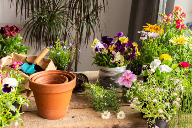 istock Spring decoration of a home balcony or terrace 1460025723
