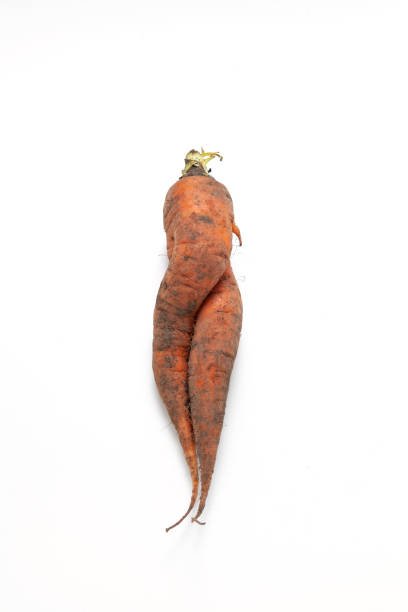 istock Deformed twisted carrot on white background. Ugly vegetable abnormal shape. Curved carrots. Concept - Food waste reduction. Using in cooking imperfect products 1460025803