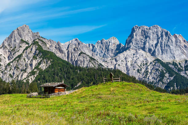 istock View to the mountain pasture Litzlalm in the Alps, Austria 1460026926