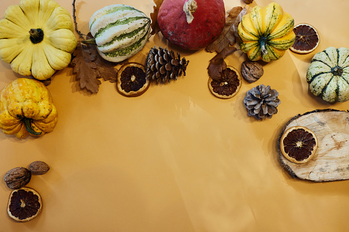 Autumn or Thanksgiving composition with pumpkins, fallen leaves, dry fruit and pine cones. Copy space.