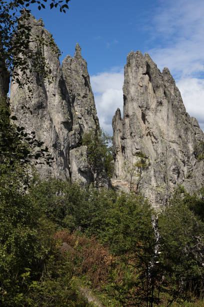 istock Breathtaking sharp high grey cliff with jagged peaks, cracks surrounded green trees, bushes in summer day with white clouds in blue sky, sunbeams, closeup, vertical. Awe hiking in outdoors. 1460031561