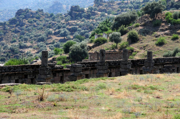 istock Alinda Ancient City - Aydin 1460032154