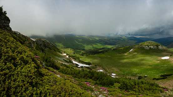 Stormy clouds and low altitude mist are covering the mountain peaks and alpine grasslands of Capatanii mountains - Carpathia. Springtime weather. Evergreen juniper bushes grow on the mountain ridges.
