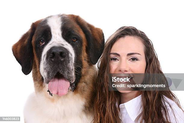 Best Friends — стоковые фотографии и другие картинки Сенбернар - Сенбернар, Взрослый, Голова животного