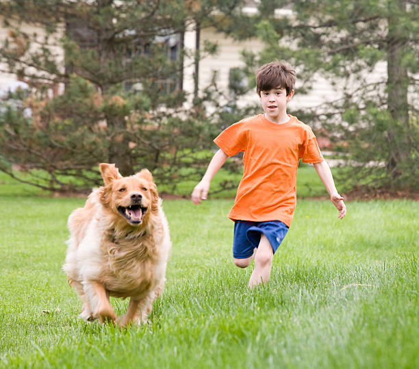 istock Dog and Boy Racing 146003872