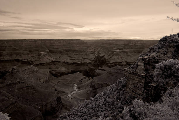 podczerwień sepia tone wielki kanion arizona - national landmark outdoors black and white horizontal zdjęcia i obrazy z banku zdjęć