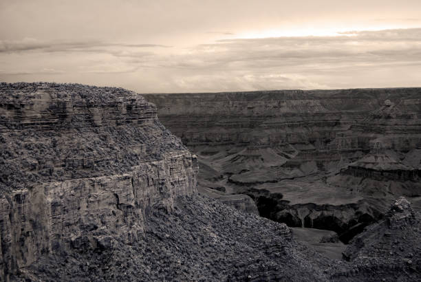 podczerwień sepia tone wielki kanion arizona - national landmark outdoors black and white horizontal zdjęcia i obrazy z banku zdjęć