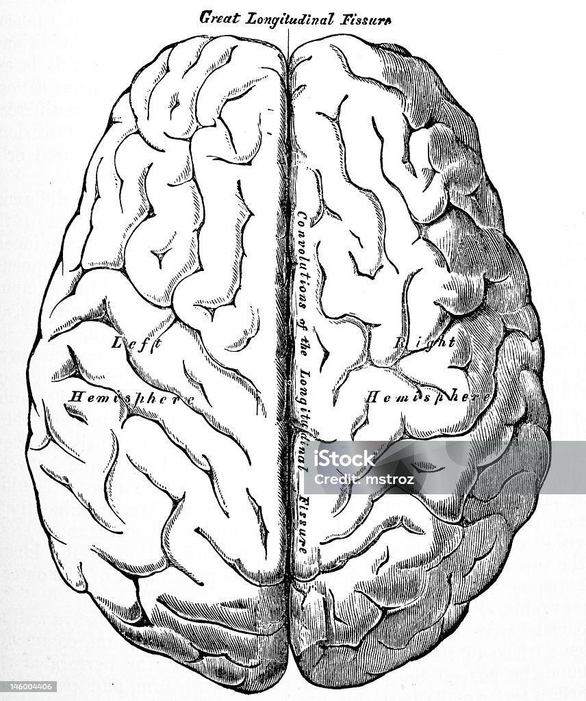 アンティーク医療イラ��スト/人間の脳 - ひびが入ったのロイヤリティフリーストックフォト