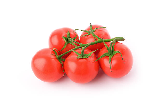 Tomaten – Foto