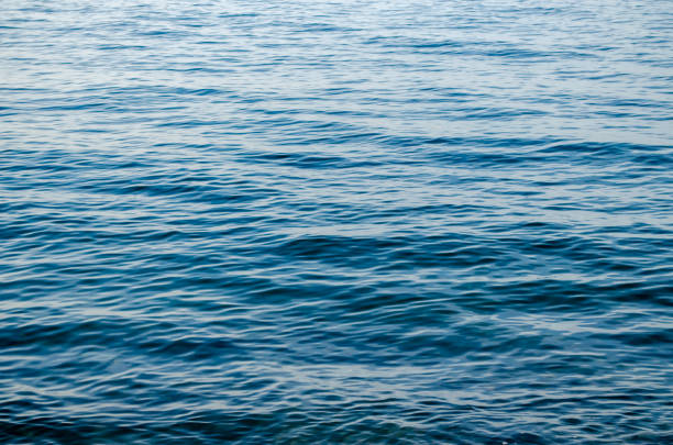 istock Sea, water, ocean, blue 1460047943
