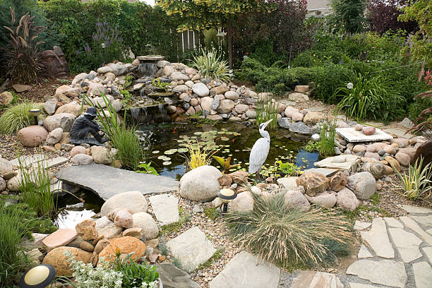 Water Feature A large water feature turns a small backyard into a delightful summer retreat. water garden stock pictures, royalty-free photos & images