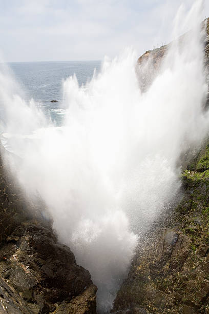 istock The Blowhole Scarer 146005148