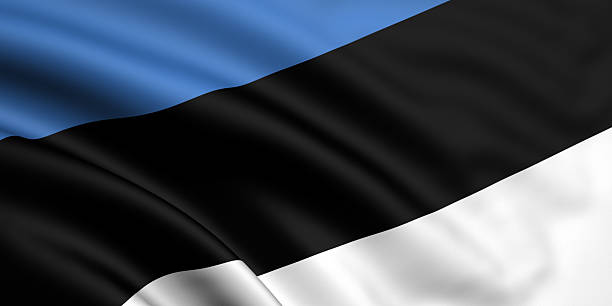 istock Flag Of Estonia 146005171