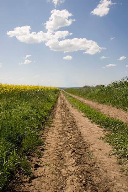 Magnifique paysage d'été avec la route - Photo