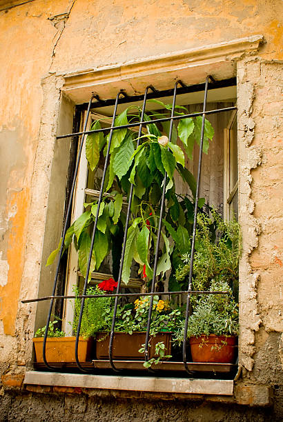 istock potted flowers at window in old-time caged wall 146005437