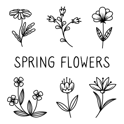 Doodle-style floral elements, leaves and twigs made in vector. For wedding design, logo and greeting card.