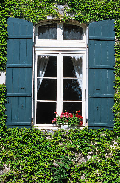 istock windows of a bourgeois dwelling 146005509
