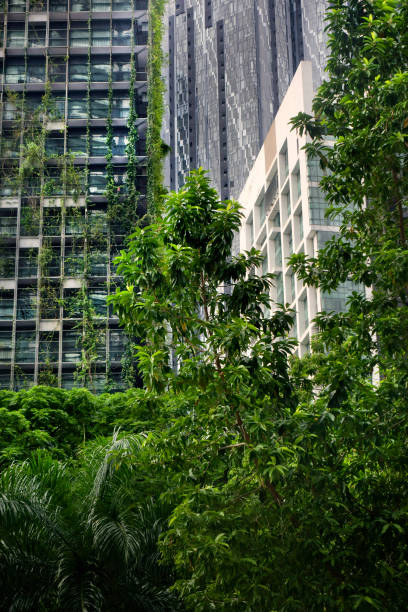 istock Large office building exterior background 1460057011