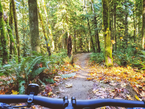 istock POV bike trail 1460057170