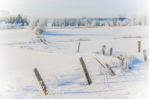 An old cedar post barb wire fence is the leading line over a snow covered field with a row of frost covered trees in the background ending in the horizon. Seen in Quebec