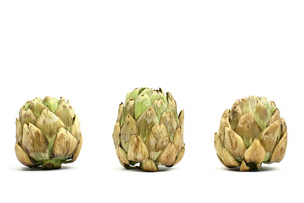 Three Artichokes stock photo