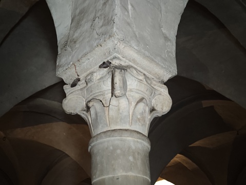 Column in a church
