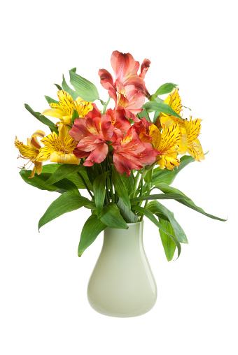 Bunch of alstroemeria flowers in a vase isolated on white