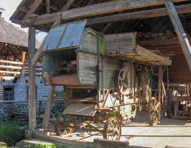 istock Carpathian Mountains, Romania, forage harvester 1460058727