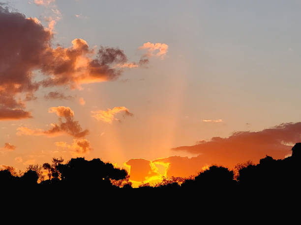 istock Sunset summer in Orlando Florida 1460058911