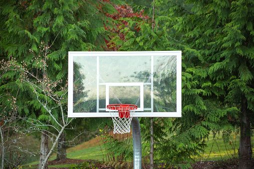 A view of a basketball hoop and background at a park court in the Pacific Northwest.