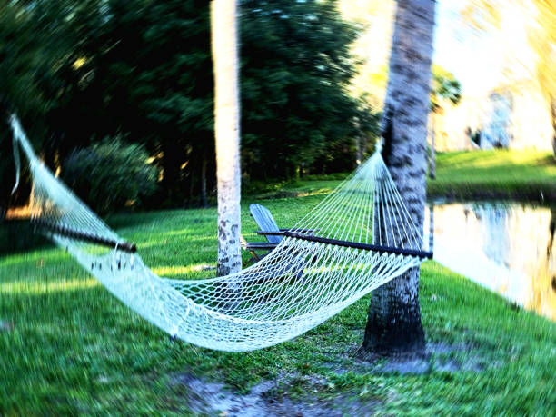 Hammock In The Garden Pond Water Lake Picture Image Background