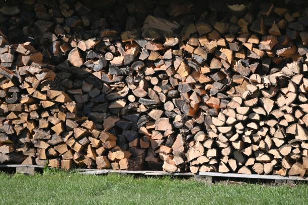Pile of Firewood stock photo
