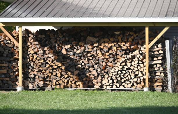 istock Firewood in Shed 1460060523