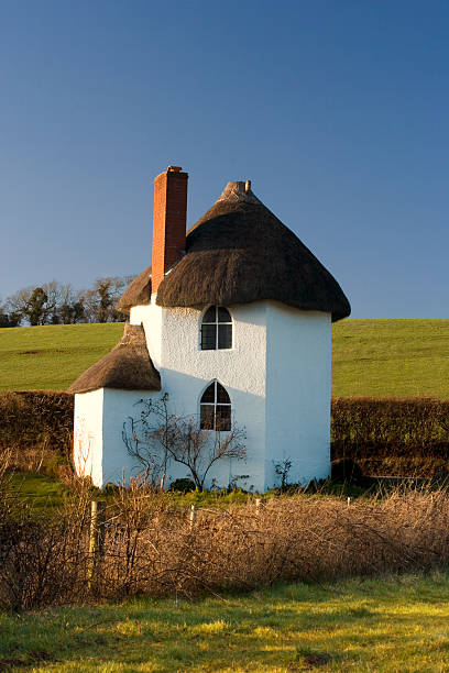 Sierpc, Poland - August 29 2018:Sierpc, Poland - August 29, 2018:Traditional 19th-century rural thatched house, painted white, with a flower garden in the village of Sierpc in Mazovia