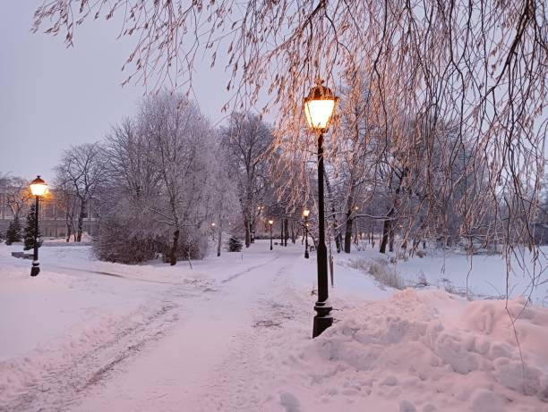 Snowy road along the shore of the lake, surrounded by trees, with burning lanterns