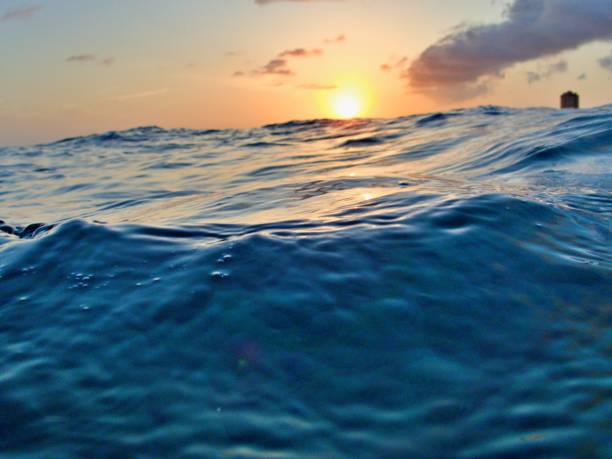 istock On sea level in the ocean 1460067623