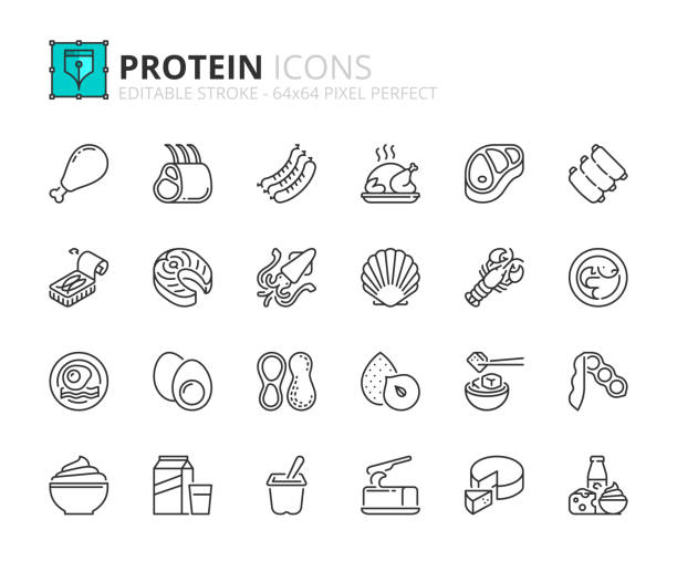 prosty zestaw ikon konturowych o białkach. mięso, ryby, owoce morza, rośliny strączkowe, orzechy, jaja i produkty mleczne. - roast beef illustrations stock illustrations