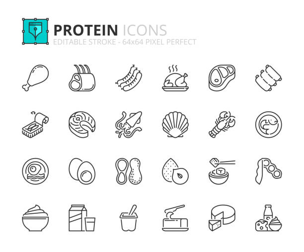 ilustrações, clipart, desenhos animados e ícones de conjunto simples de ícones de contorno sobre proteínas. carne, peixe, frutos do mar, legumes, nozes, ovos e laticínios. - lobster prepared shellfish meal seafood
