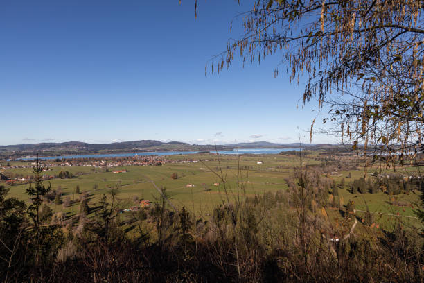 istock A rural view with mountains and trees in autumn morning 1460076975