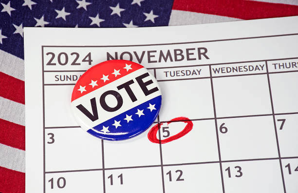Vote Pin On November 2024 Calendar