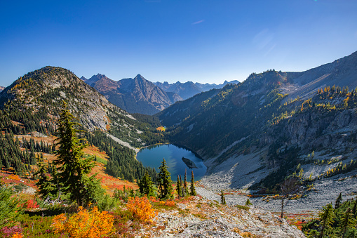 Fall in Male Pass Trail