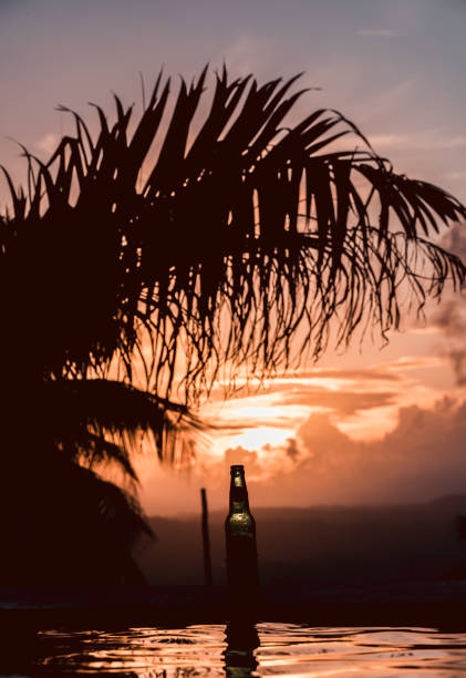 istock Tropical pool with beer at sunset 1460080516