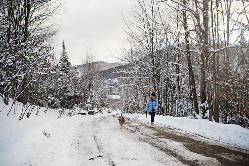 Mature woman walking her dog in the winter snow. Large mountains scenery. She is in her fifties, and is wearing a pale blue winter coat and a black wool hat. Dog is an Airedale. Horizontal full length outdoors shot with copy space. This was taken in the north of Quebec, Canada.