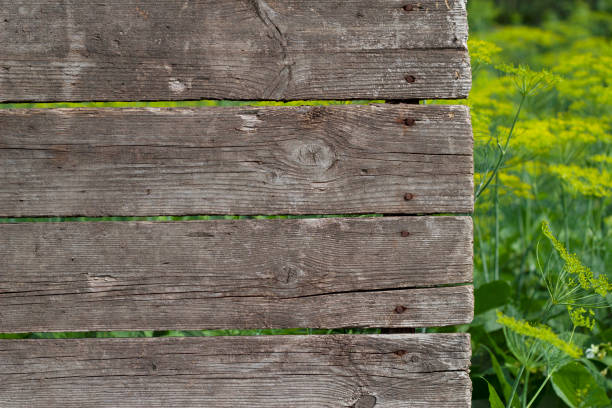 istock wooden background in the garden 1460087322