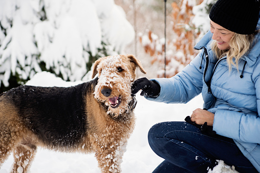 Mature woman playing with her dog in the winter snow. She is in her fifties, and is wearing a pale blue winter coat and a black wool hat. Dog is an Airedale. Horizontal waist up outdoors shot with copy space. This was taken in the north of Quebec, Canada.