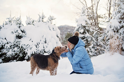 Mature woman playing with her dog in the winter snow. She is in her fifties, and is wearing a pale blue winter coat and a black wool hat. Dog is an Airedale. Horizontal full length outdoors shot with copy space. This was taken in the north of Quebec, Canada.