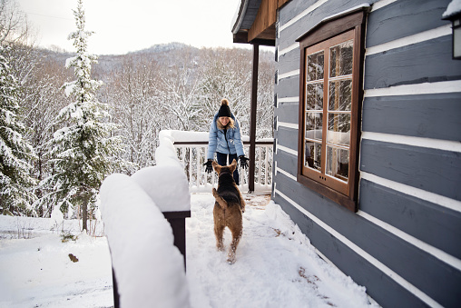 Mature woman greeting her running dog in the winter snow on the chalet balcony. She is in her fifties, and is wearing a pale blue winter coat and a black wool hat. Dog is an Airedale. Horizontal full length outdoors shot with copy space. This was taken in the north of Quebec, Canada.