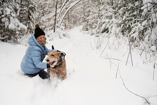 Mature woman greeting her running dog in the winter snow. She is in her fifties, and is wearing a pale blue winter coat and a black wool hat. Dog is an Airedale. Horizontal full length outdoors shot with copy space. This was taken in the north of Quebec, Canada.